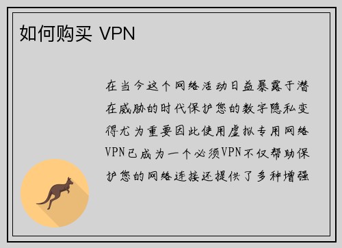 如何购买 VPN 